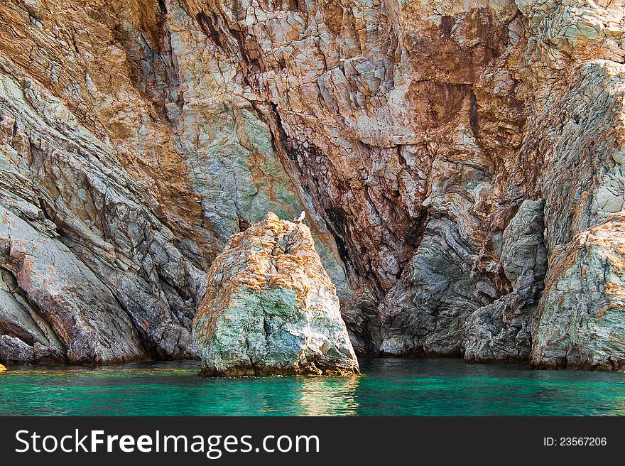 Lonely Seagull On A Rock In The Sea