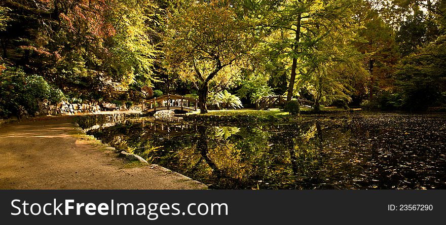 Shot of a pond and fall in a park. Shot of a pond and fall in a park.