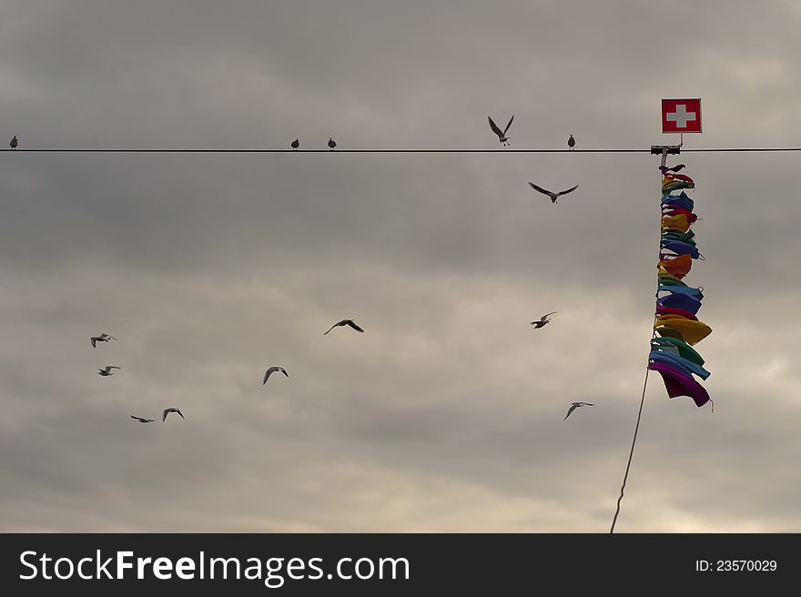 Swiss flag and birds in Basel