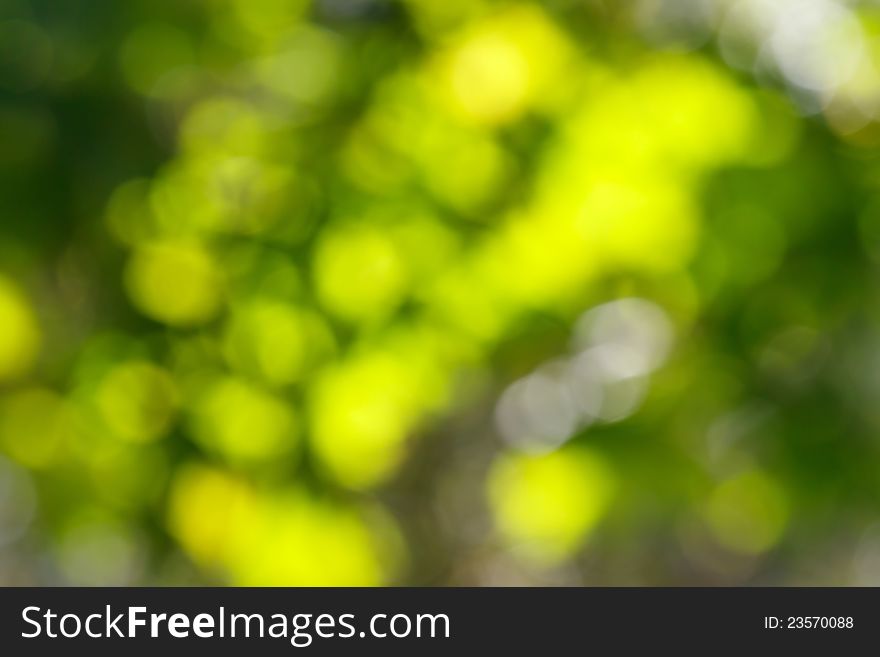 Beautiful abstract green Bokeh in sunny day. Beautiful abstract green Bokeh in sunny day