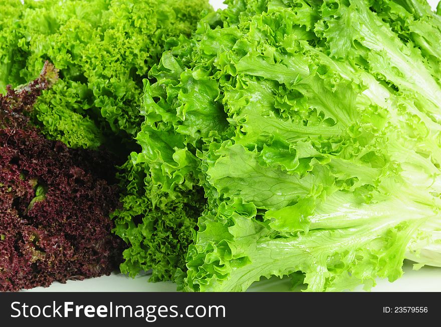 Fresh green lettuce for backgrounds. Fresh green lettuce for backgrounds.