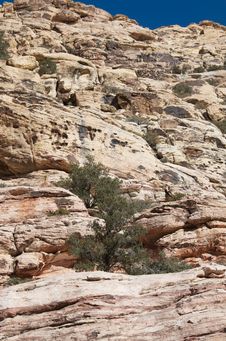 Red Rock Mountains Royalty Free Stock Photo Red Rock Mountains Royalty Free Stock Photo