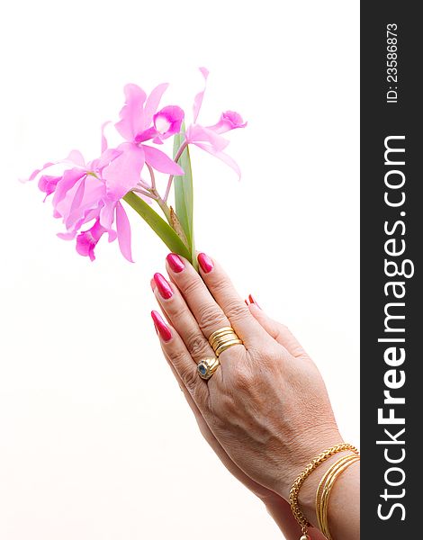 A woman hold orchid