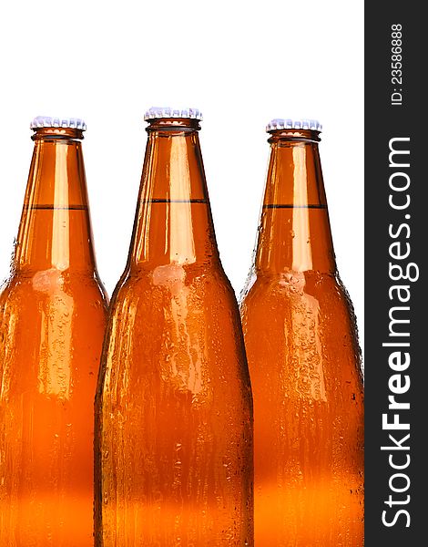 Bottles of beer on white background. Bottles of beer on white background