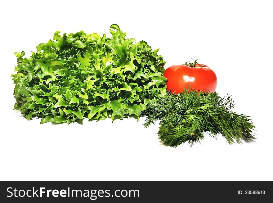 Fresh lettuce frillice salad dill and tomato isolated on white
