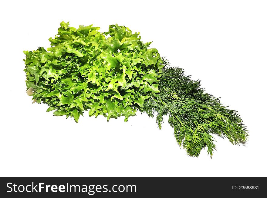 Fresh green lettuce frillice salad and dill isolated on white