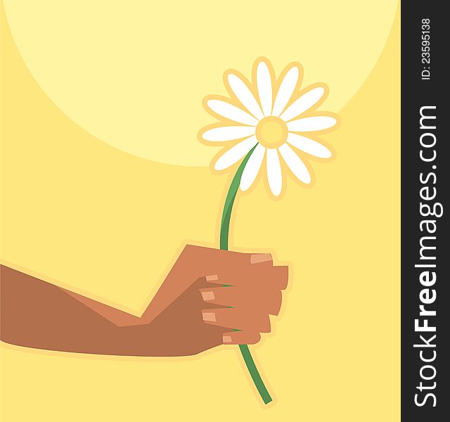 Vector illustration of summer camomille in hand