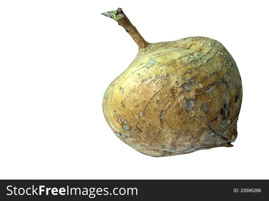 A yam bean isolated on white background.