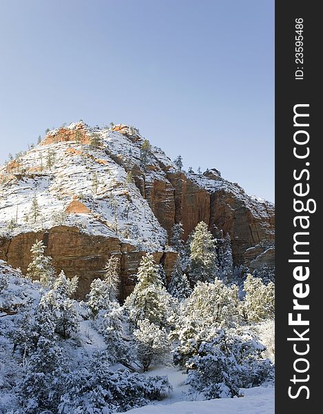 Early morning after a snowstorm has blanketed the landscape in Zion N.P., Utah. Early morning after a snowstorm has blanketed the landscape in Zion N.P., Utah.