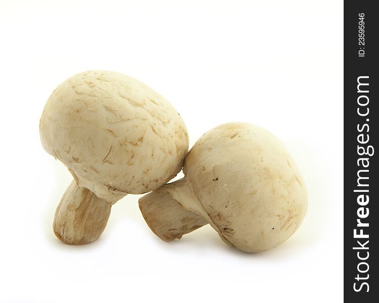 Two mushroom champignon isolated on white background