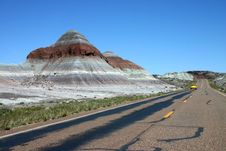 Petrified Forest Royalty Free Stock Photo
