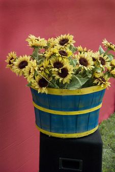Sunflowers In A Basket Stock Photography Sunflowers In A Basket Stock Photography