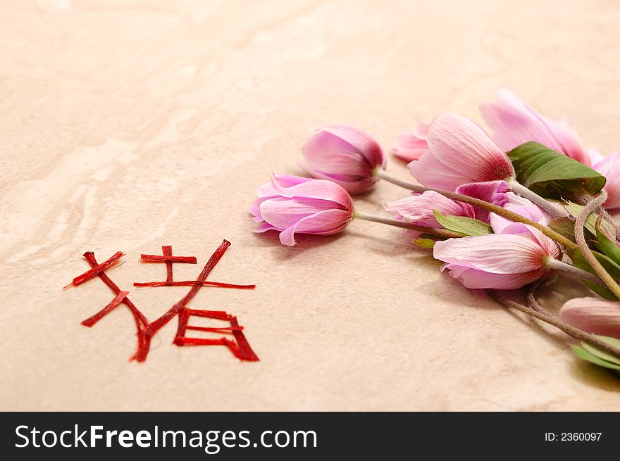 Love concept with anemones flowers and real wet hair for this pig new year  chinese symbol