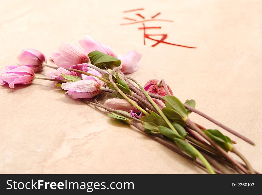 Love concept with anemones and chinese symbol
