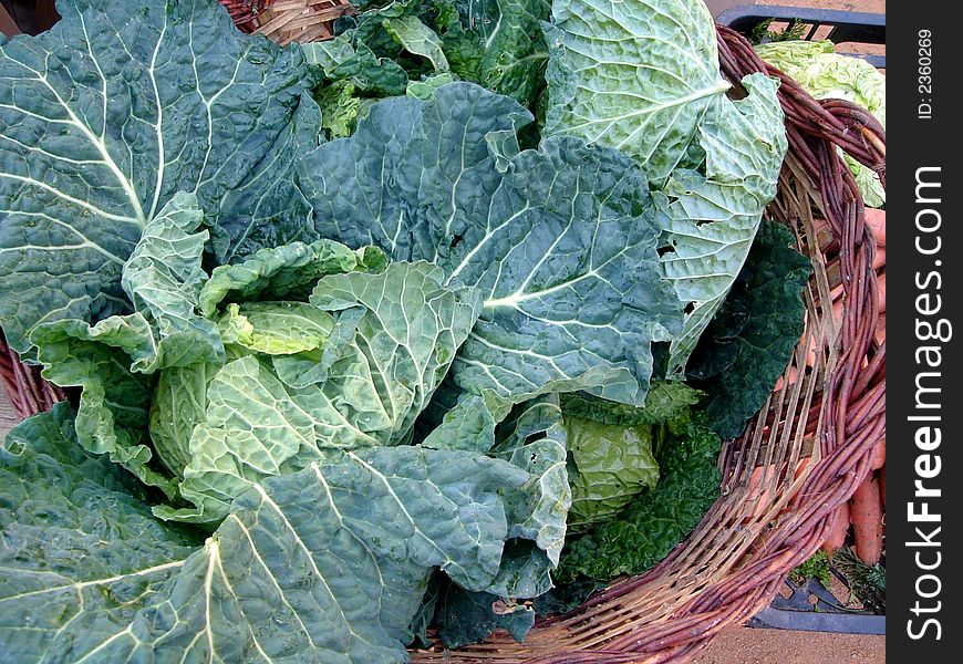 Cabbage In A Basket