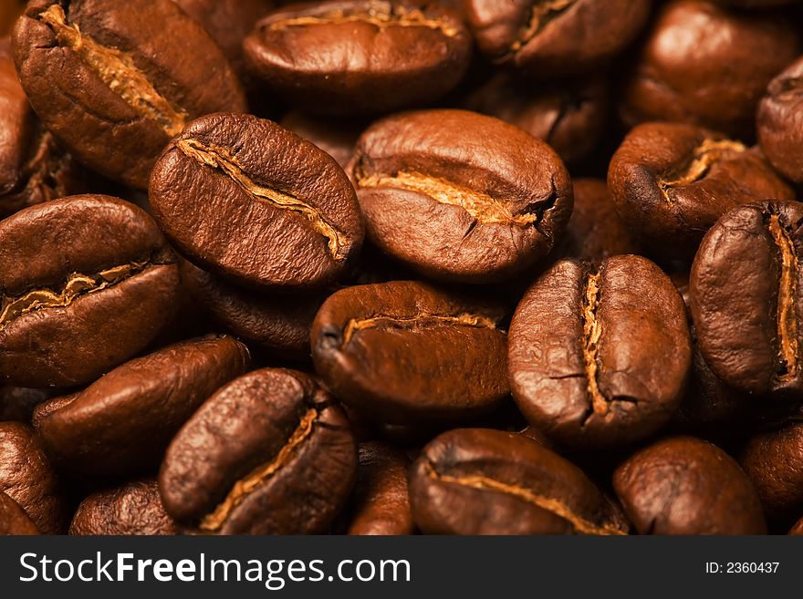 Close up of the aromatic coffe beans. Close up of the aromatic coffe beans