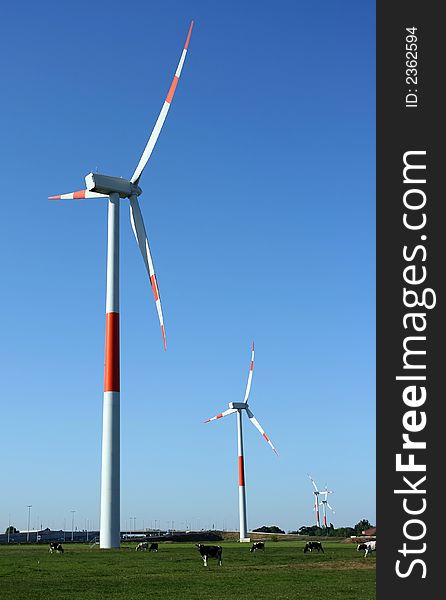 Several red/white colored windmills at a windfarm