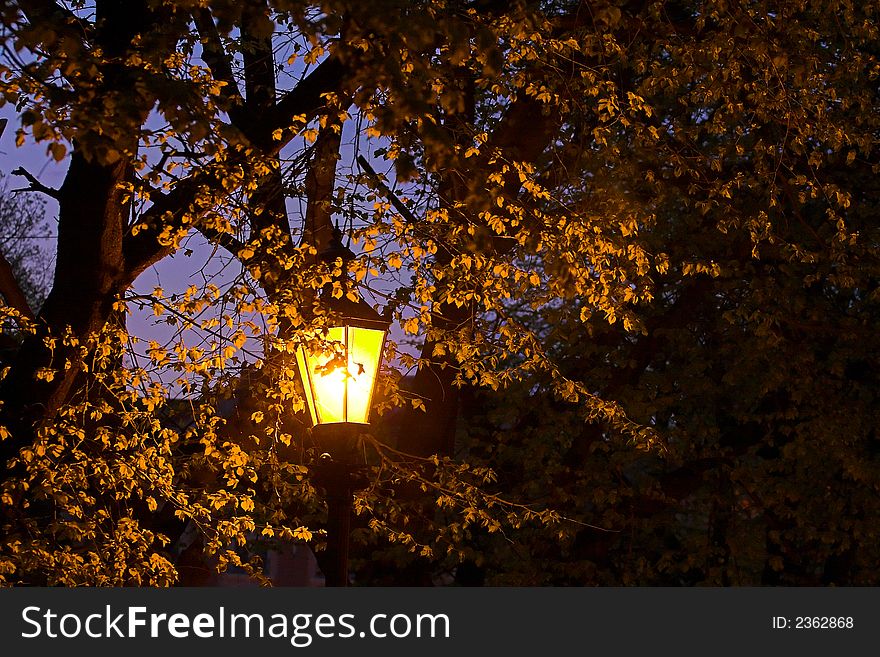 Yellow Street Lamp near tree branches