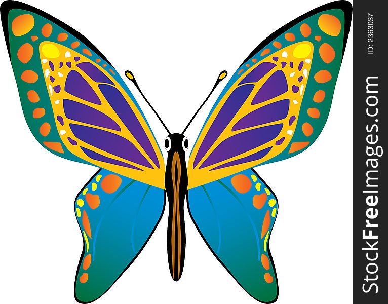 Vector butterfly scalable to any size