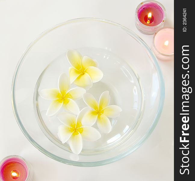 Frangipani flowers in a bowl of water with candles