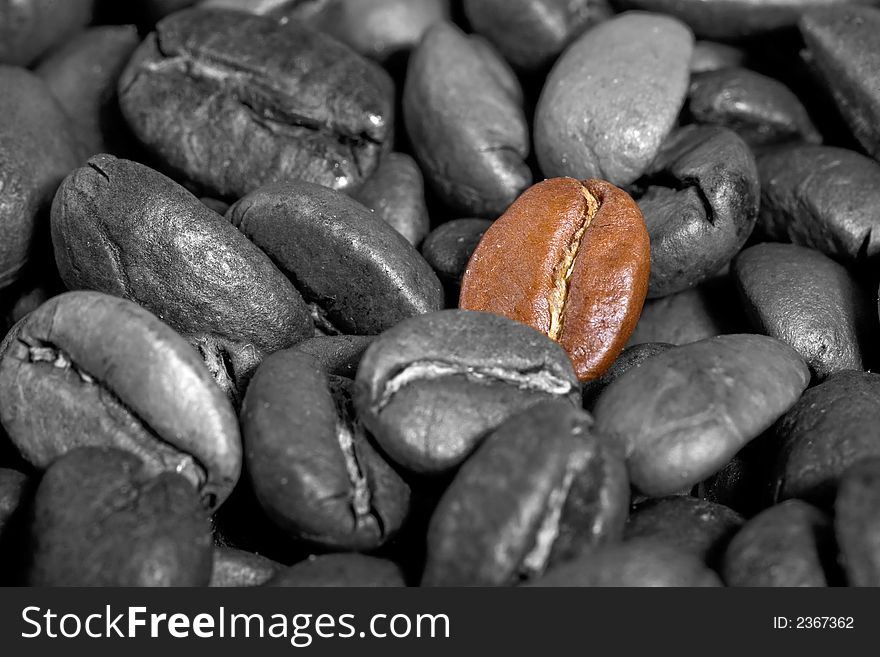 Espressobeans close-up. Colorkey = One bean brown, the others are black-white. Great as background or wallpaper!. Espressobeans close-up. Colorkey = One bean brown, the others are black-white. Great as background or wallpaper!