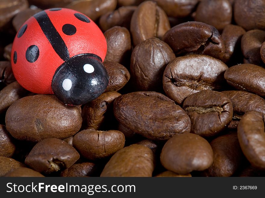 Close-up of good smelling coffeebeans with a wooden ladybug. Great as postcard?. Close-up of good smelling coffeebeans with a wooden ladybug. Great as postcard?