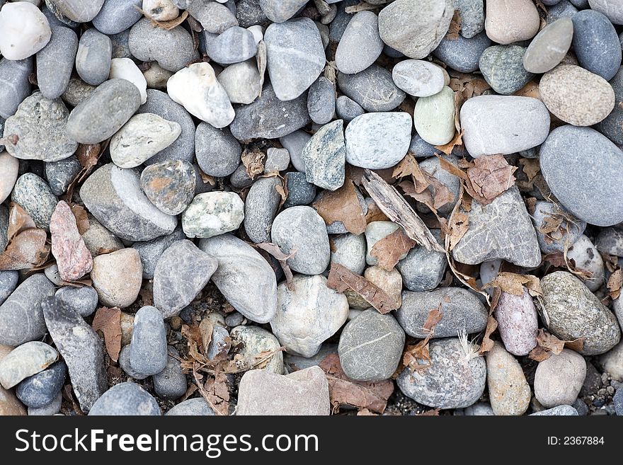 Stones with rotten leaves.