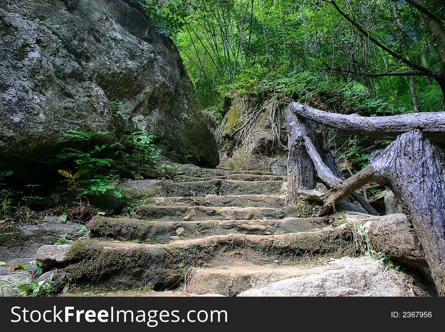 Man-made staircase leading into a forest. Man-made staircase leading into a forest