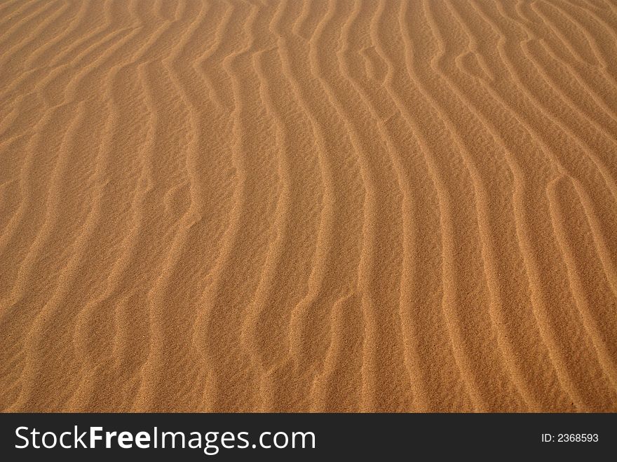 Sand ripples in the california desert