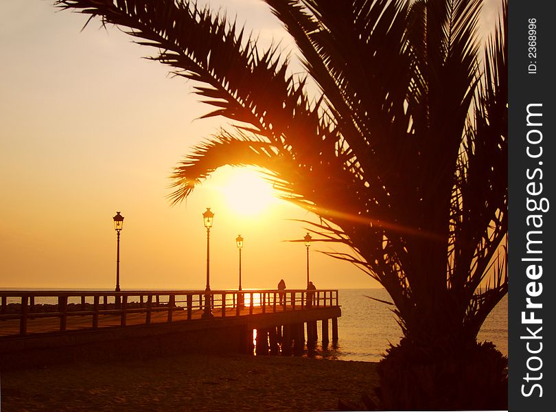 Sunrise scene on beach with palm and quay. Sunrise scene on beach with palm and quay