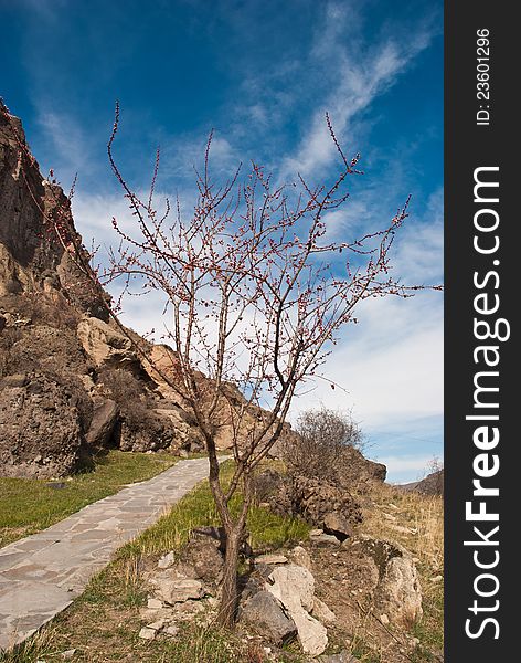 Beautiful path view with cloud in blue sky. Beautiful path view with cloud in blue sky