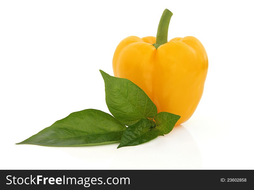 Yellow pepper vegetable with leaf sprig over white background.