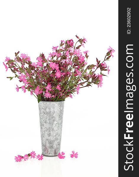 Red campion wildflower arrangement in a distressed alluminum vase with loose flowers, isolated over white background. Silene dioica. Also known as rose campion. Red campion wildflower arrangement in a distressed alluminum vase with loose flowers, isolated over white background. Silene dioica. Also known as rose campion.