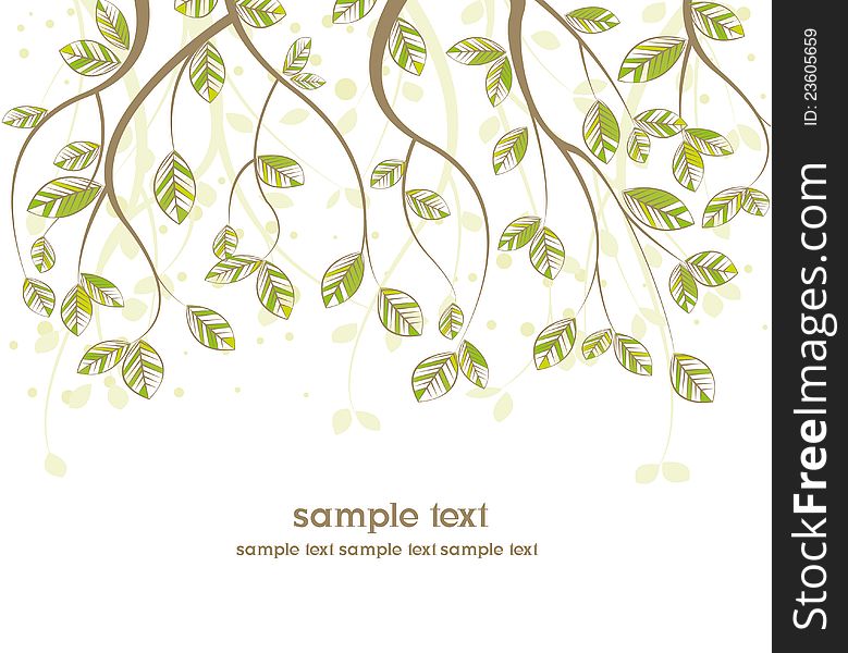 Branches with leaves on white background
