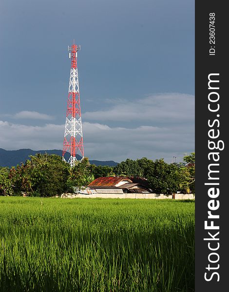 A telecommunication tower in rice field