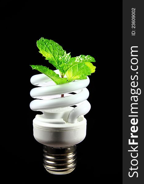 Energy saving eco lamp with green values concept