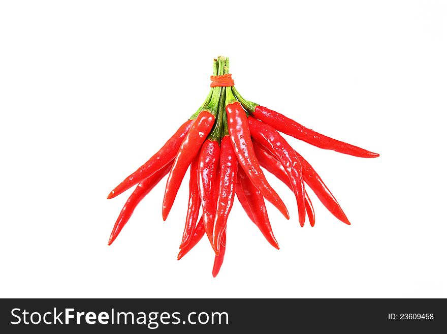 Group of red chilli on white background