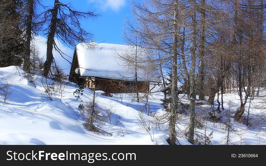 A small cabin in the woods at winter on a sunny, cold day.