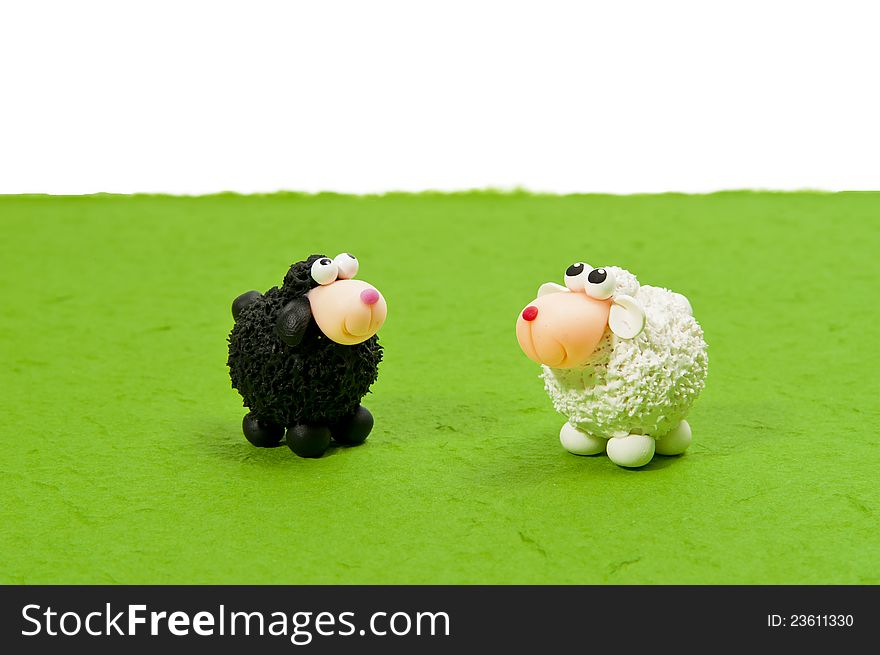 Black and White sheep on green grass