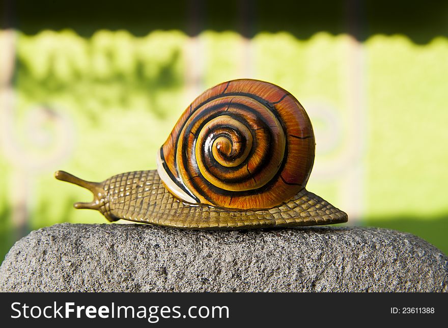 Lonely snail crawls along the cement path on green wall