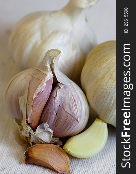 Head of garlic - a natural antibiotic on the tablecloth