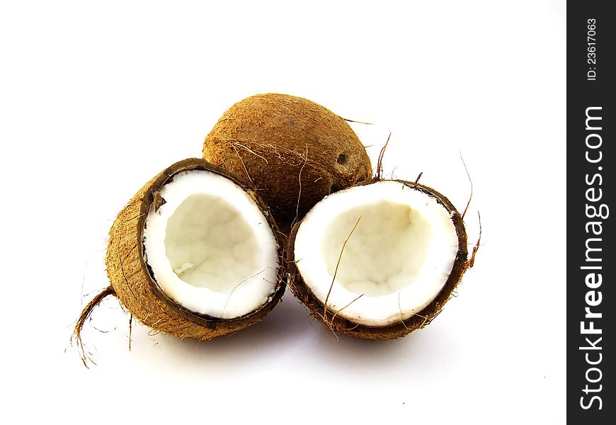 Cocos on a white background