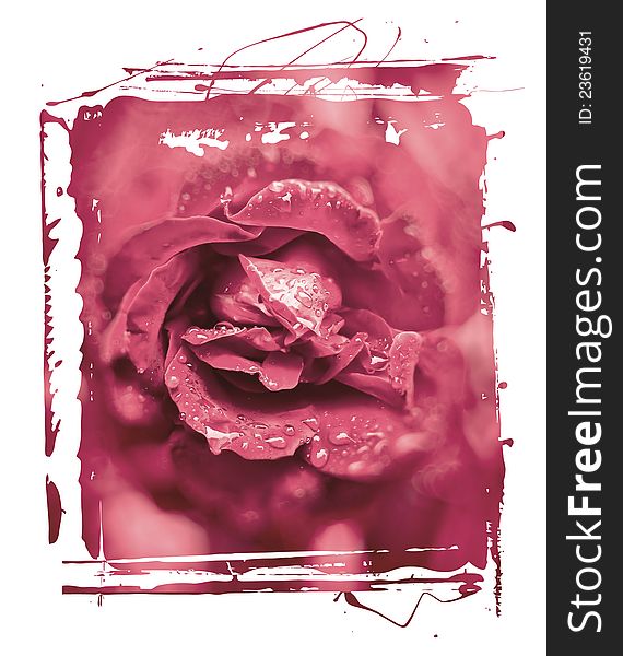 Grunge rose background with splats and stains. Grunge rose background with splats and stains