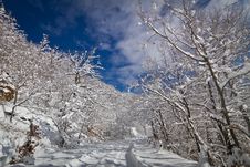 Snowy Road Stock Images Snowy Road Stock Images
