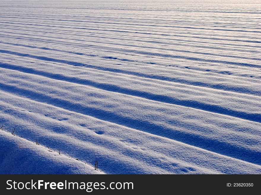 Snow covered cultivated field