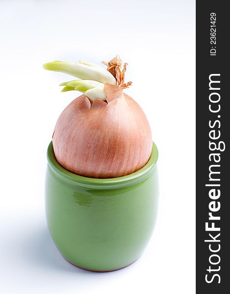 Onions in a pot