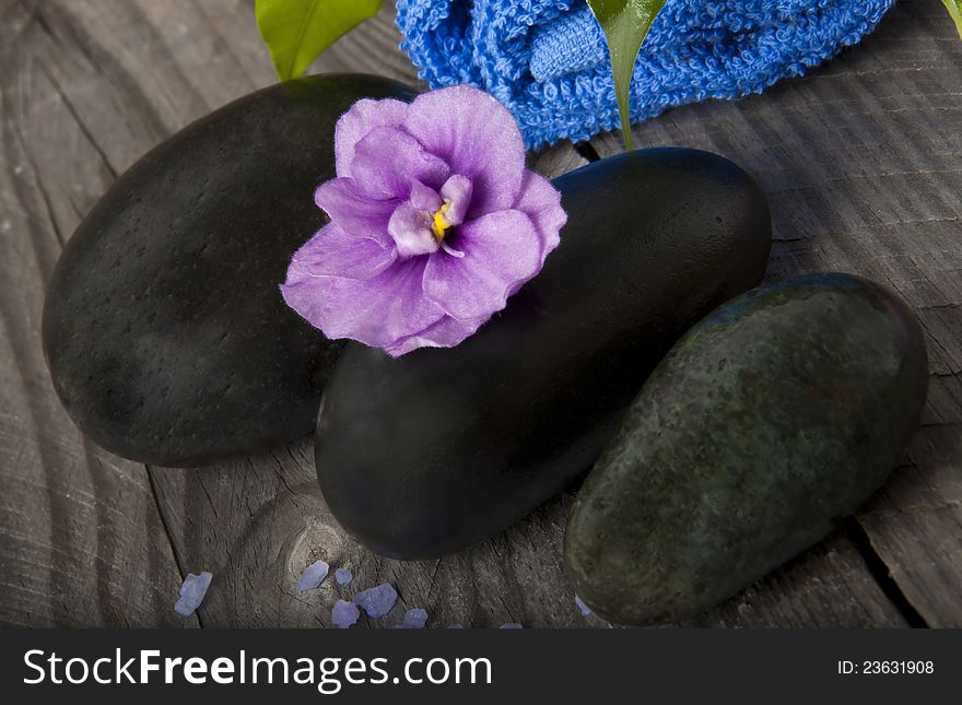 Spa stones with purple flowers