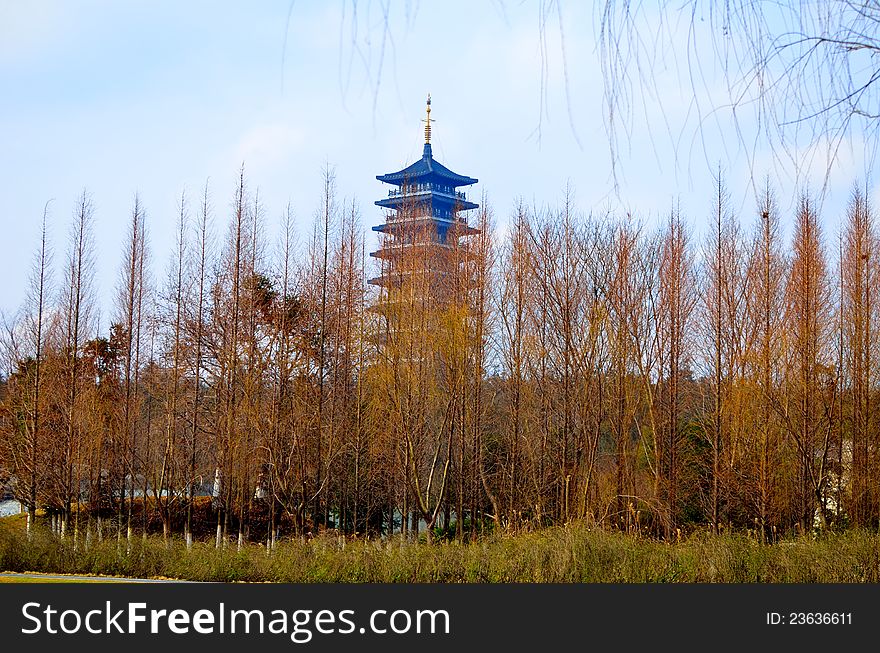 Spruce forest, and pagodas，Taken in China's Jiangsu Province，Longbeishan Park