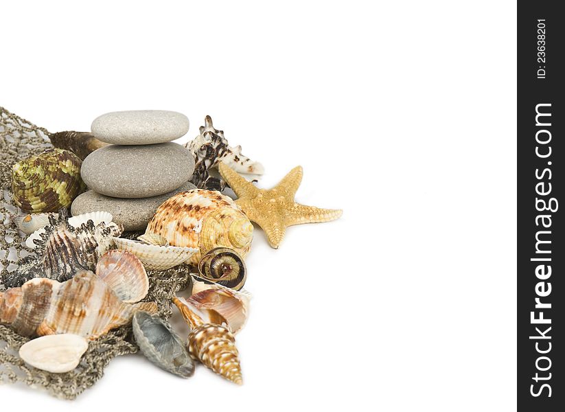 Marine cockleshells, pebbles, starfish on a white background. Marine cockleshells, pebbles, starfish on a white background
