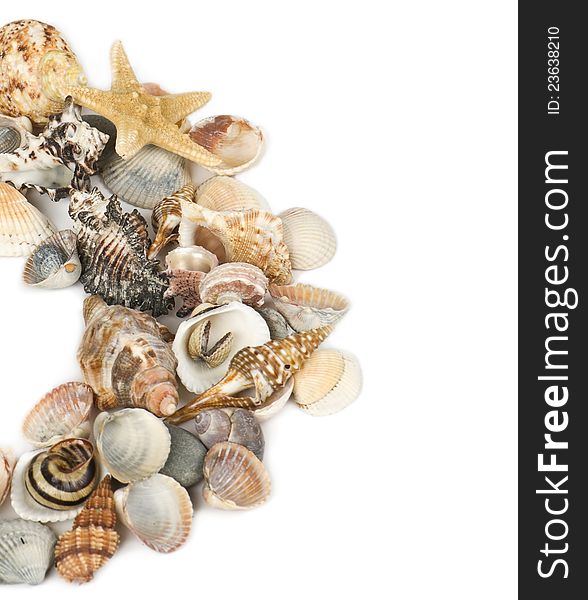 Background From Marine Cockleshells